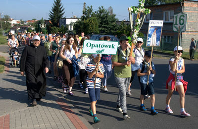 „Oliwki jak słodkie wino...” – Opatówek w drodze do Maryi