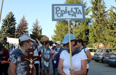 Grupa popielata na pielgrzymim szlaku