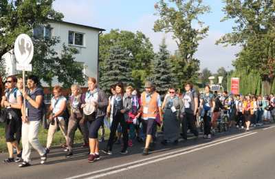 Grupa popielata w drodze na Jasną Górę