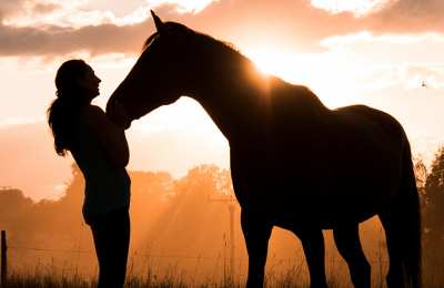 Koń wiernym przyjacielem leśnika – seminarium, wystawa, poranek autorski